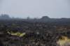 dsc_4995_fs_small.jpg