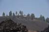 dsc_5002_fs_small.jpg