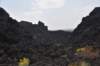 dsc_5026_fs_small.jpg