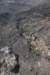 dsc_5035_fs_small.jpg