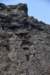 dsc_5037_fs_small.jpg