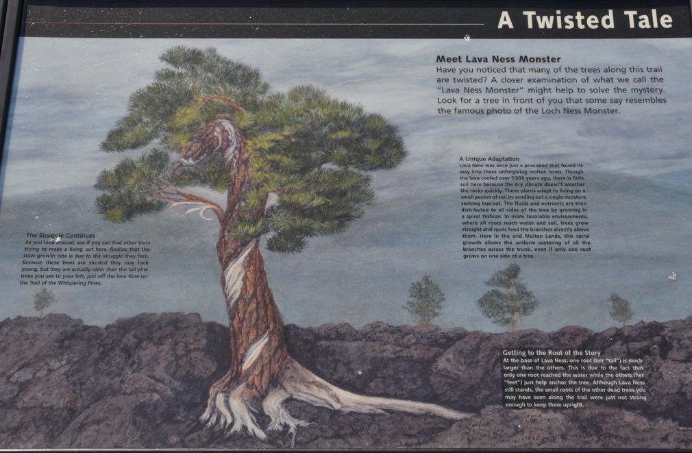 dsc_5049_fs.jpg