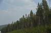 dsc_5062_fs_small.jpg