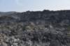 dsc_5130_fs_small.jpg