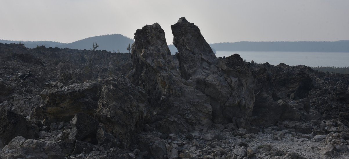 dsc_5135_fs.jpg