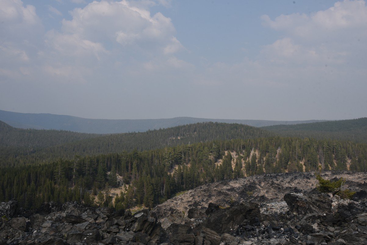 dsc_5141_fs.jpg