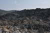 dsc_5145_fs_small.jpg