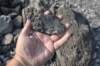 dsc_5147_fs_small.jpg