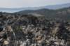 dsc_5151_fs_small.jpg