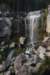 dsc_5201_fs_small.jpg