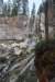 dsc_5217_fs_small.jpg