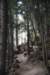 dsc_5231_fs_small.jpg