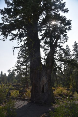 dsc_5243_fs.jpg