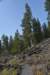 dsc_5314_fs_small.jpg