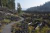 dsc_5317_fs_small.jpg