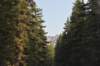 dsc_5336_fs_small.jpg