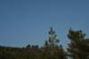 dsc_5341_fs_small.jpg
