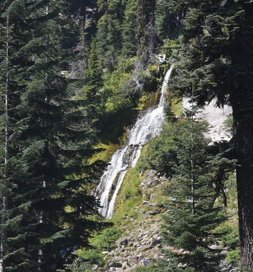 dsc_5465_fs.jpg