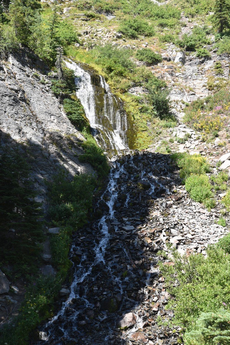 dsc_5468_fs.jpg
