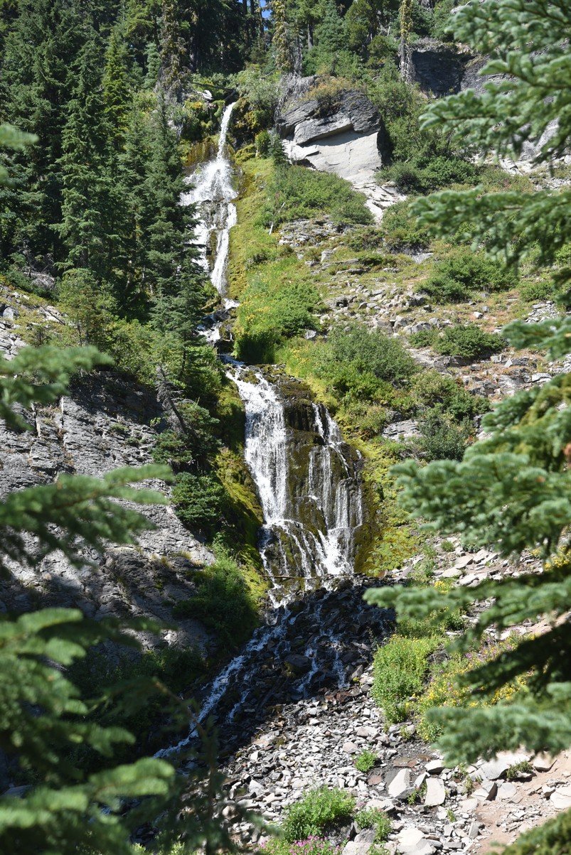 dsc_5469_fs.jpg