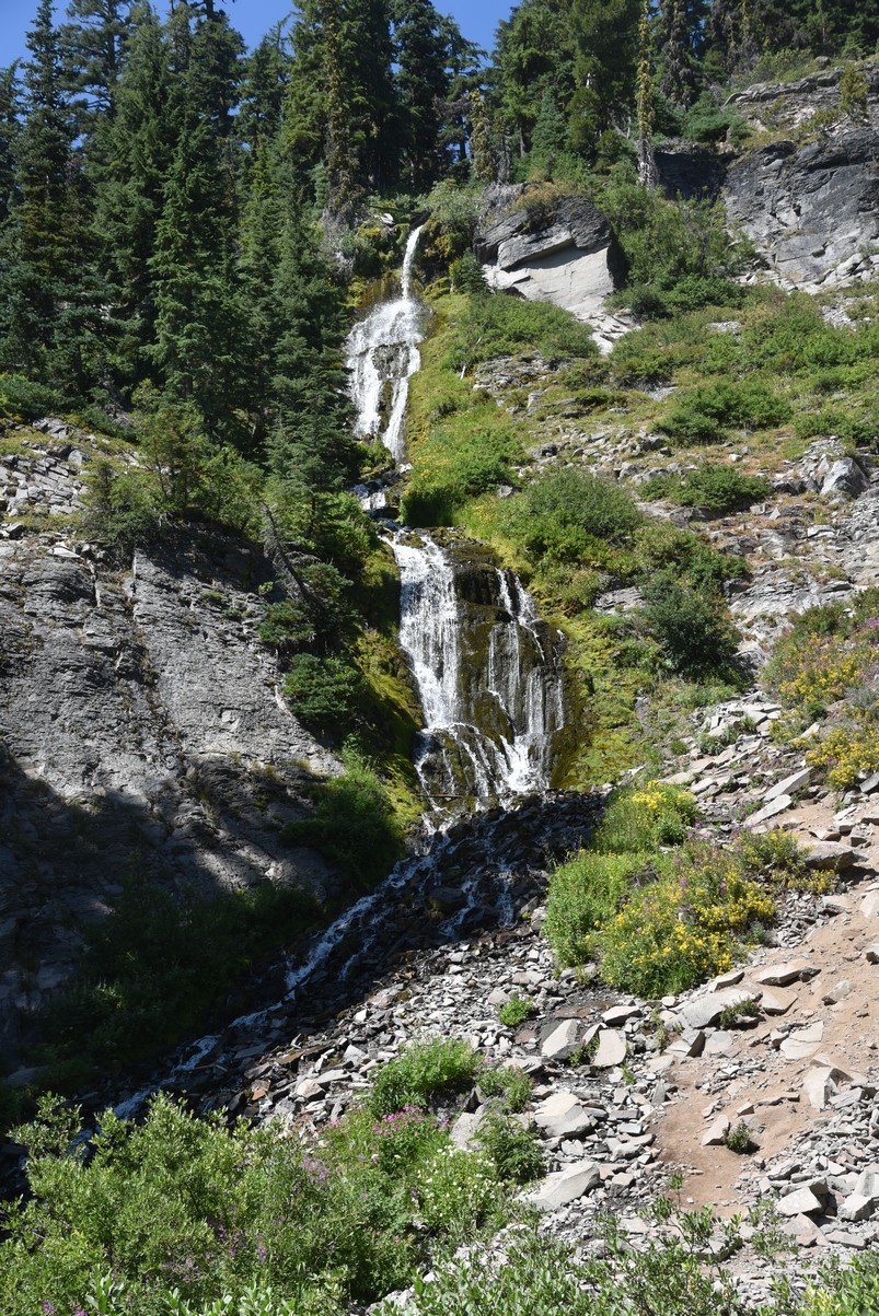 dsc_5470_fs.jpg