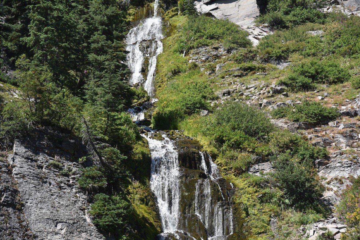 dsc_5472_fs.jpg