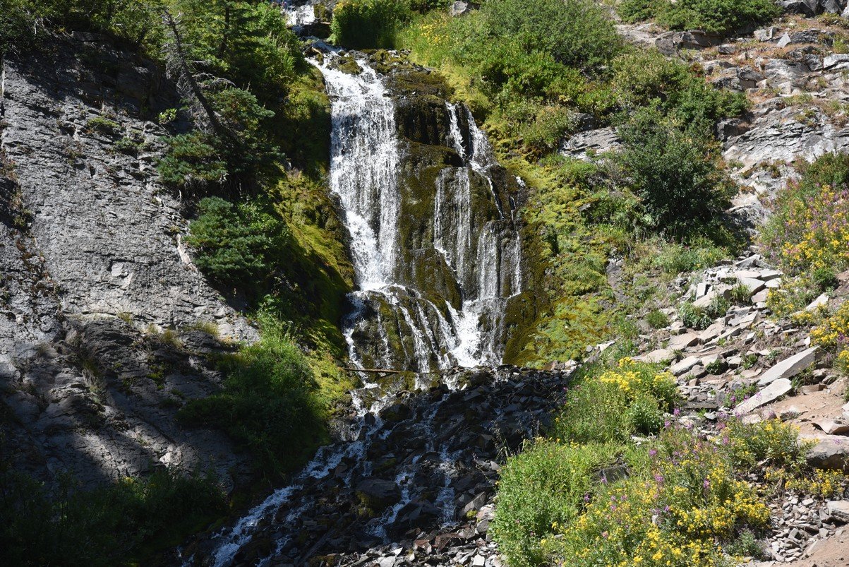 dsc_5473_fs.jpg