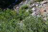 dsc_5475_fs_small.jpg