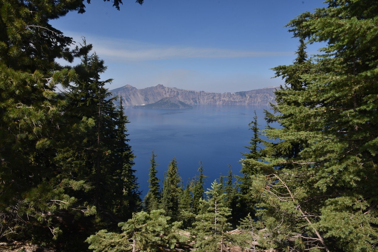 dsc_5490_fs.jpg