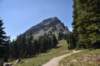 dsc_5499_fs_small.jpg