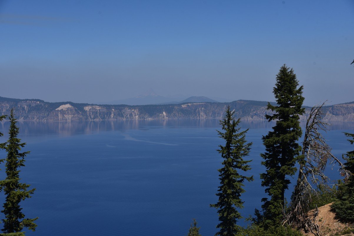 dsc_5500_fs.jpg