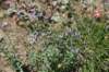 dsc_5503_fs_small.jpg