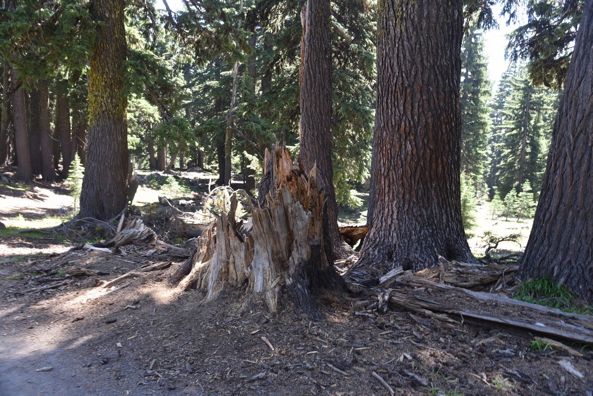 dsc_5504_fs.jpg