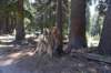 dsc_5504_fs_small.jpg