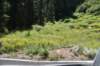 dsc_5518_fs_small.jpg