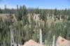 dsc_5526_fs_small.jpg