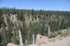 dsc_5527_fs_small.jpg