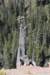 dsc_5530_fs_small.jpg