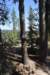dsc_5534_fs_small.jpg