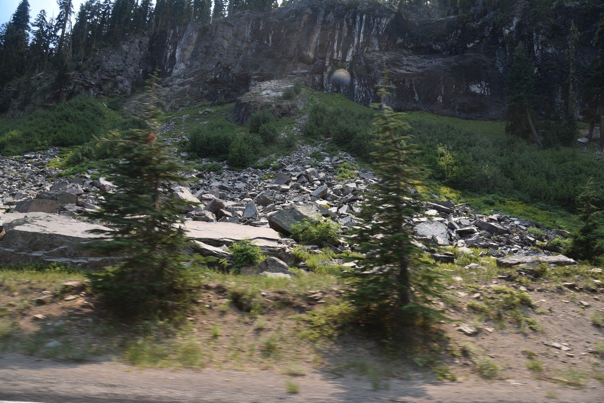 dsc_5541_fs.jpg