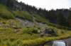 dsc_5543_fs_small.jpg