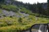 dsc_5544_fs_small.jpg