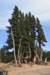 dsc_5554_fs_small.jpg