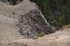dsc_5574_fs_small.jpg