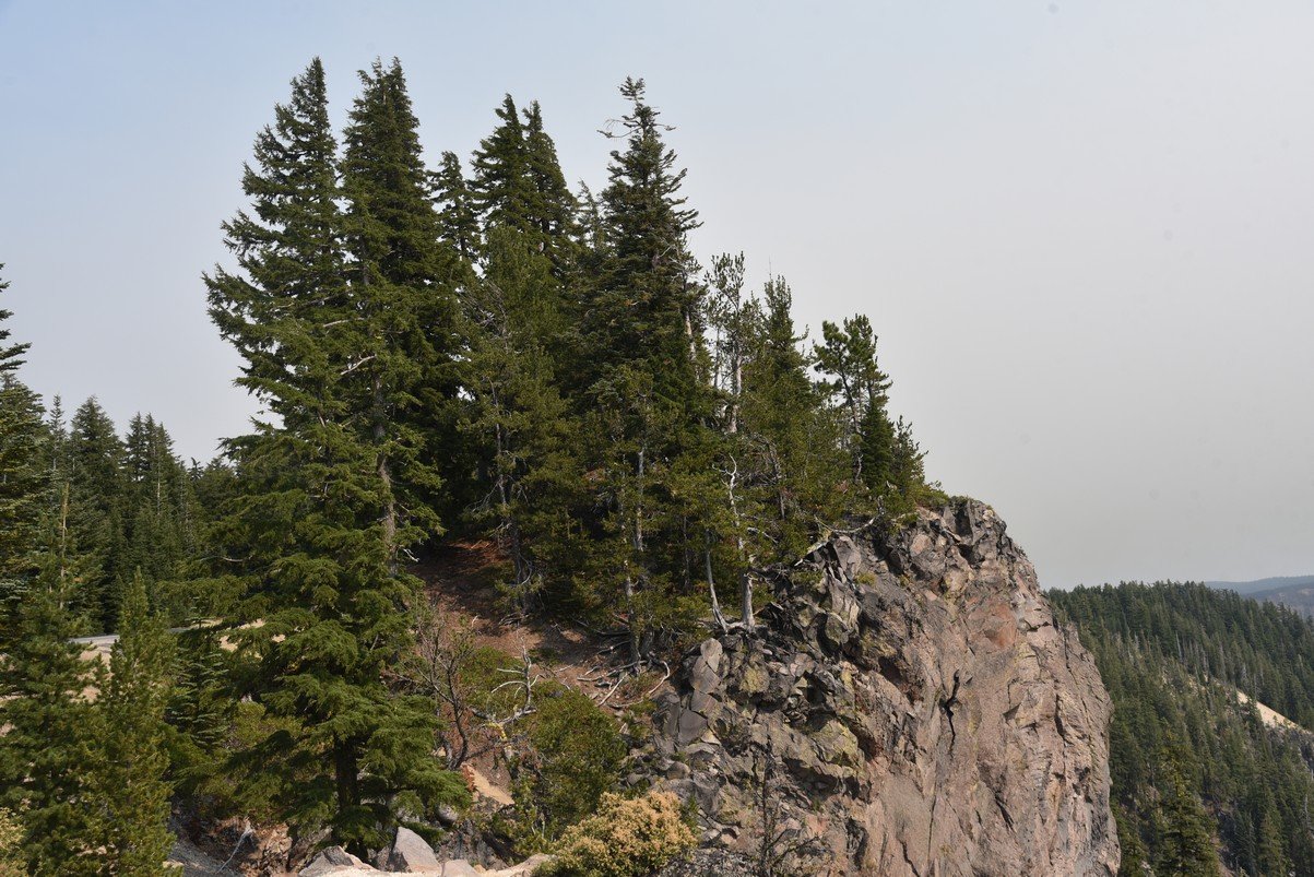 dsc_5613_fs.jpg