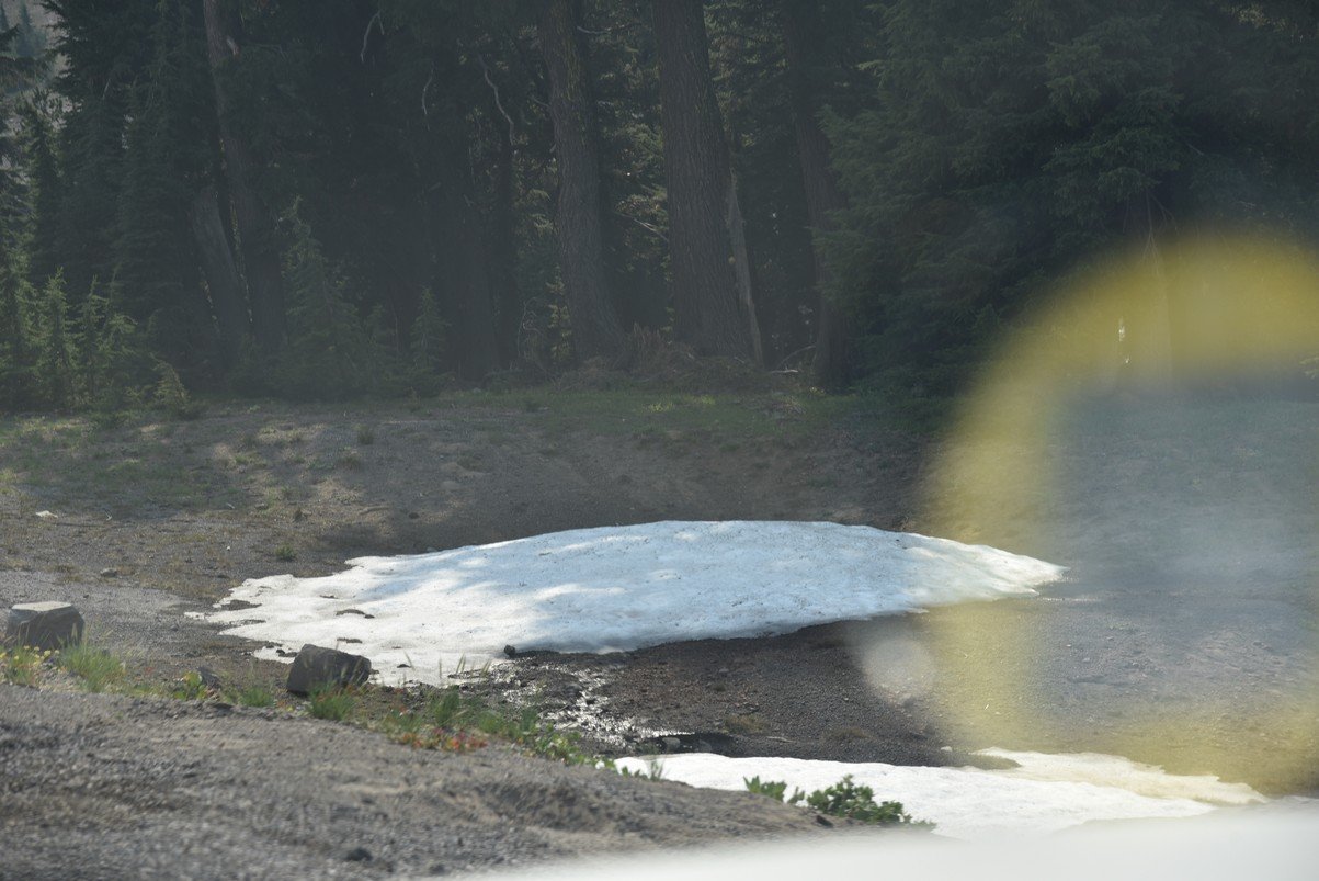 dsc_5628_fs.jpg