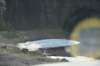 dsc_5628_fs_small.jpg