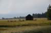 dsc_5689_fs_small.jpg