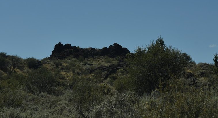 dsc_6009_fs.jpg