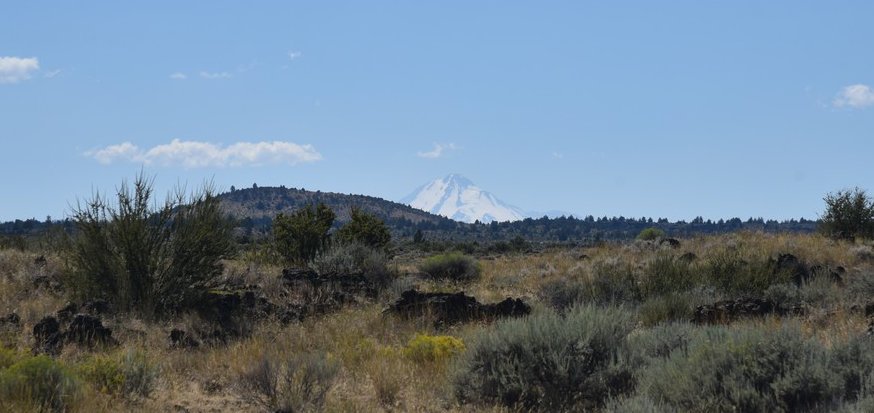 dsc_6037_fs.jpg